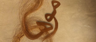 فهمید دیونه م